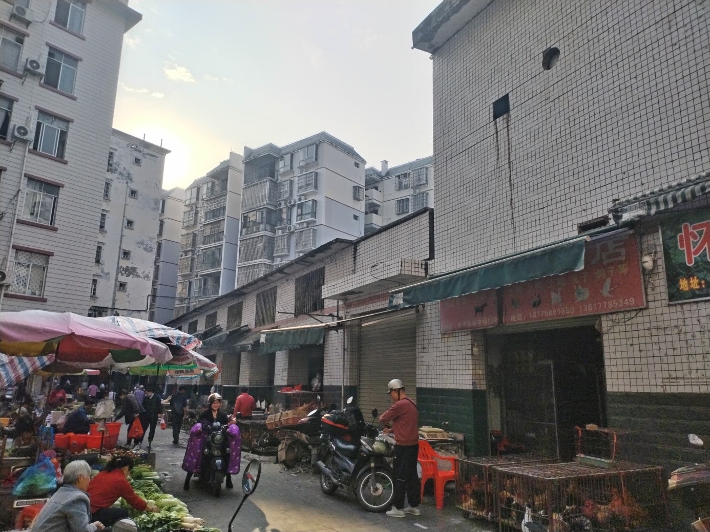 广西金年会官方网站入口集团有限公司河池分公司招租公告