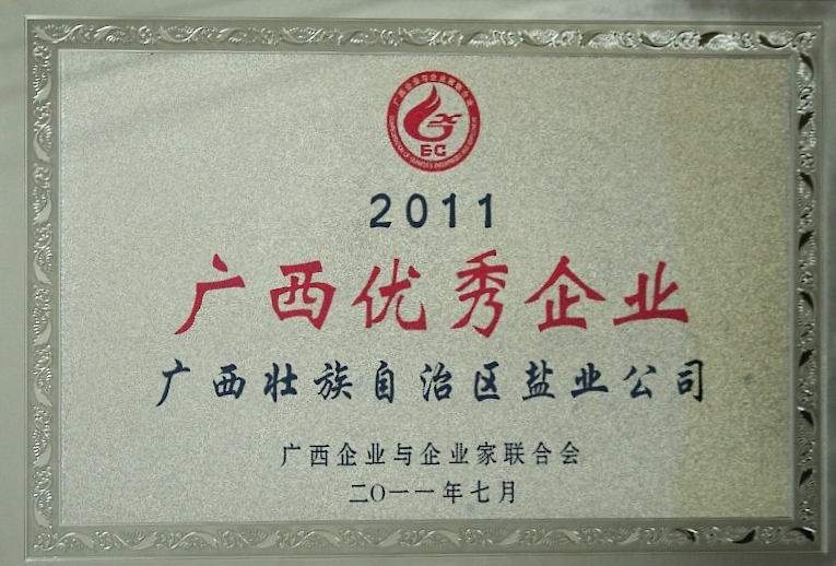 2011广西优秀企业